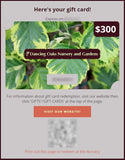 Gift Card ~ Gift Card - Digital via Email ~ Dancing Oaks Nursery and Gardens ~ Retail Nursery ~ Mail Order Nursery