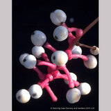 Perennials ~ Actaea pachypoda, Doll's Eyes ~ Dancing Oaks Nursery and Gardens ~ Retail Nursery ~ Mail Order Nursery