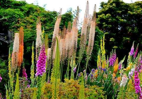 Whimsical Garden Tea Party 