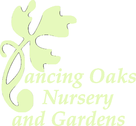 Dancing Oaks Nursery and Gardens