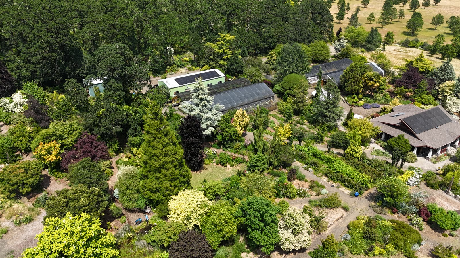 Aerial view of Dancing Oaks Nursery and Gardens