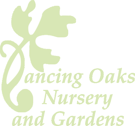 Dancing Oaks Nursery and Gardens