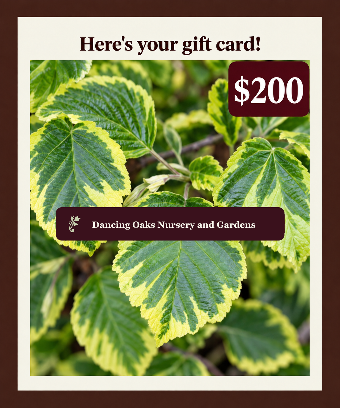Dancing Oaks digital gift card in the amount of $200