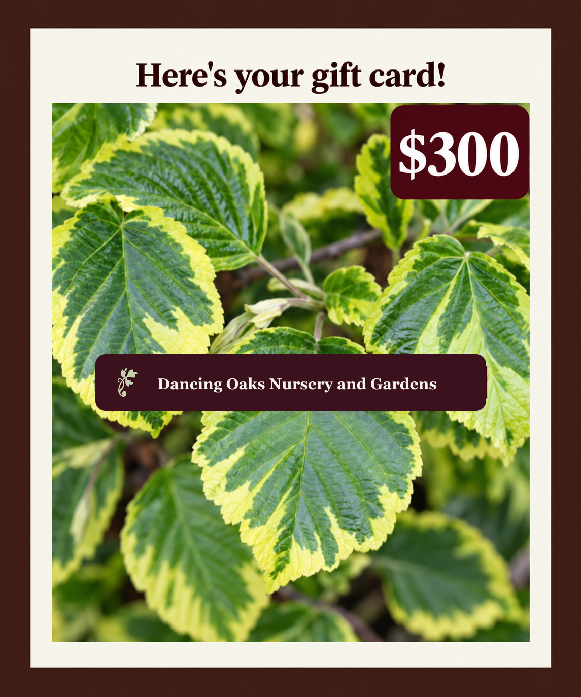 Dancing Oaks digital gift card in the amount of $300
