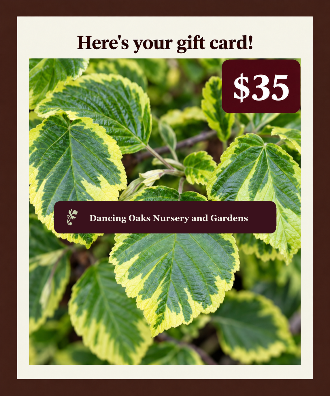 Dancing Oaks digital gift card in the amount of $35