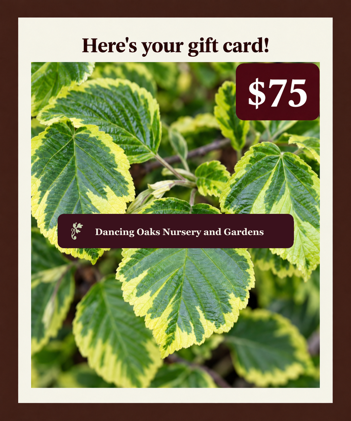 Dancing Oaks digital gift card in the amount of $75